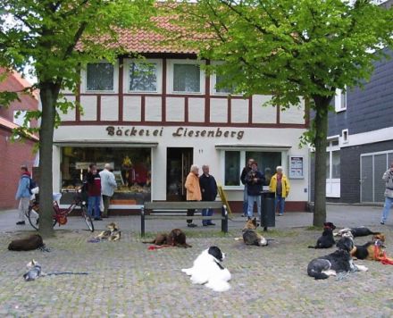 Hundeschule Assmann