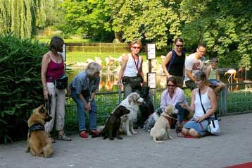 Hundezentrum-best-friend