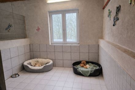 Hundepension Aartal