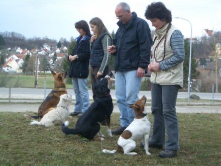 Hundeschule Mittelschwaben