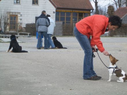 Hundeschule Mittelschwaben