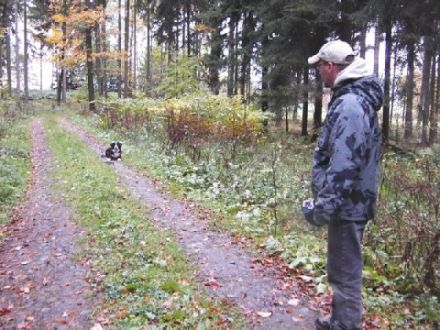 Struppi, Rex & Co.- Michael Glänzel - Hundecoach