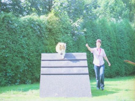 Hundeschule Doghouse