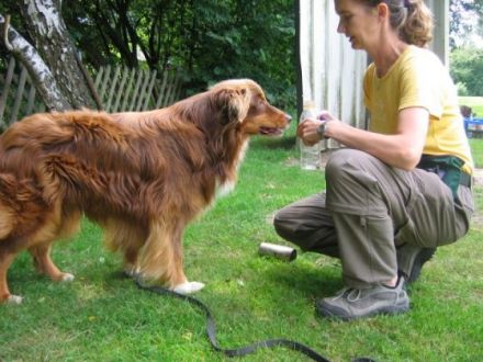 Hundeschule Doghouse