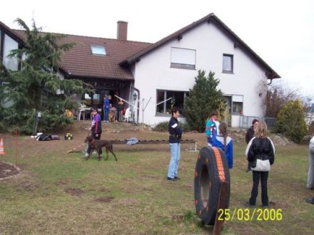 Hundeschule Gundermann "Vom Rheintal" Bellheim