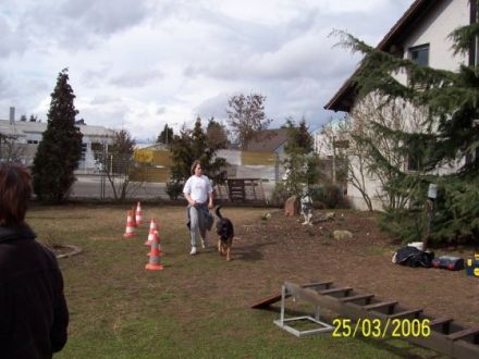 Hundeschule Gundermann "Vom Rheintal" Bellheim