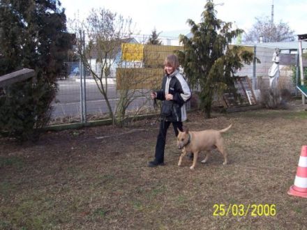 Hundeschule Gundermann "Vom Rheintal" Bellheim