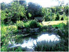 Hundepension Schlossgasse in Thüringen