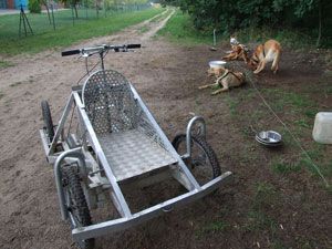 TALA - Projekt  - Tiere und Menschen