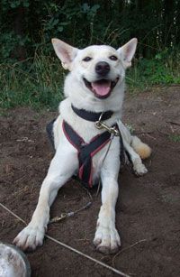 TALA - Projekt  - Tiere und Menschen