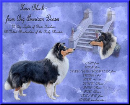 from Big American Dream