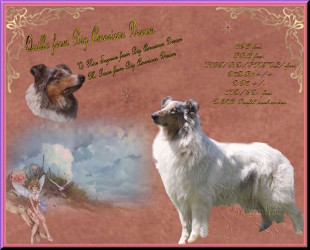 from Big American Dream