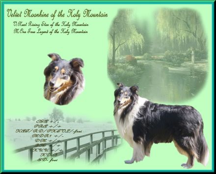 from Big American Dream