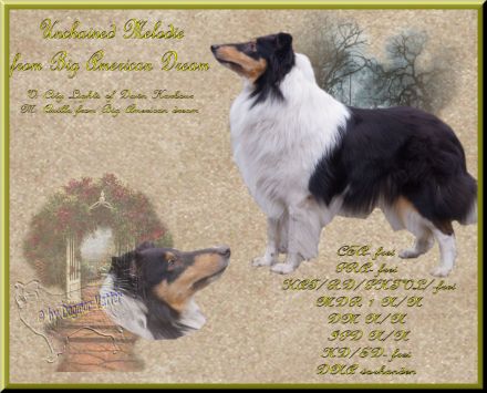 from Big American Dream