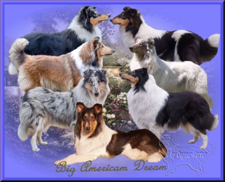 from Big American Dream