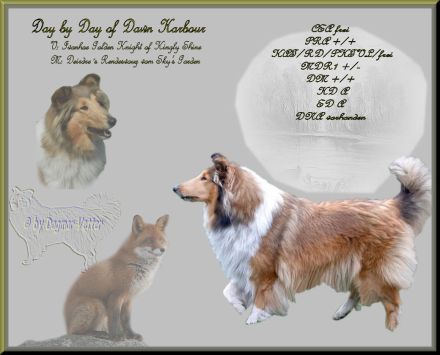 from Big American Dream