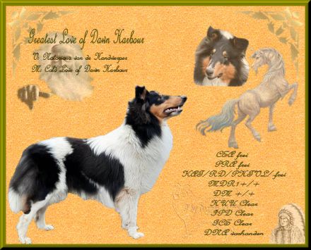 from Big American Dream