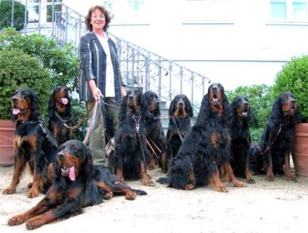 Elysa`s ... of Wickenberry