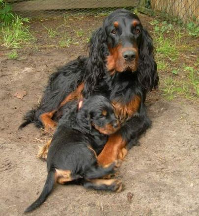 Elysa`s ... of Wickenberry