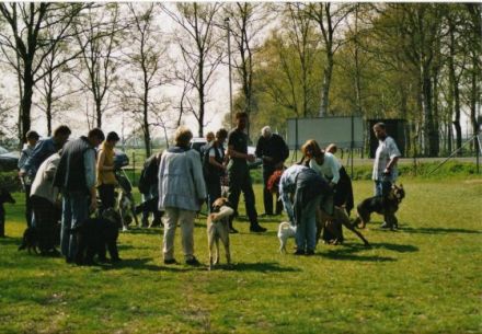 Hundepension Eberlei in Niedersachsen