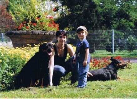 Hundecouch-Verhaltensberatung & Verhaltenstherapie