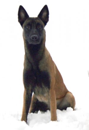 von den brennenden Herzen