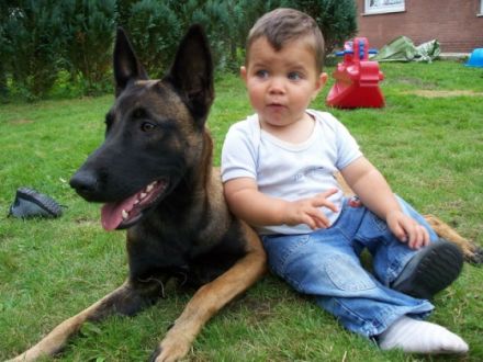 von den brennenden Herzen