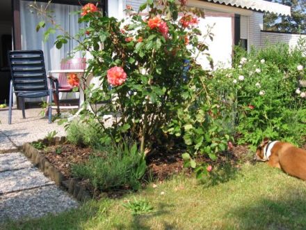 Am Sahlenburger Feld