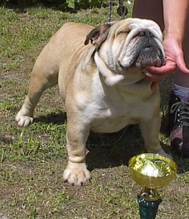 z Podharajchu Zvolen