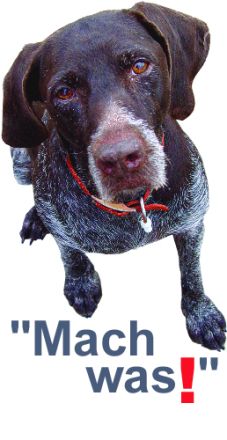 Hundeausbildung-Saar