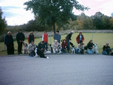 Hundeerziehung/-ausbildung mit Herz und Verstand