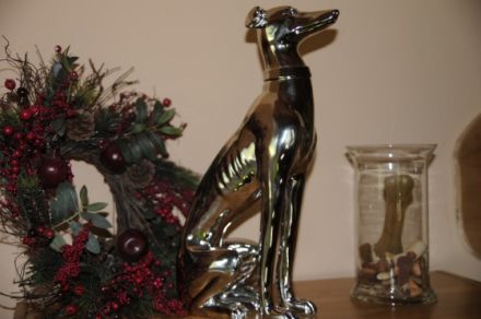 Hundehotel Arnsberg Dog Dream