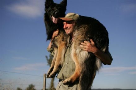 k9schule Tim Waßmann