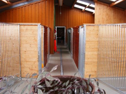 Tierpension Tannenberg