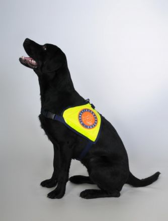 Assistenzhundeschule Solveig Burauen