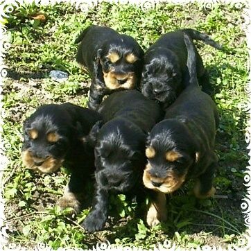 von den heiligen Gärten