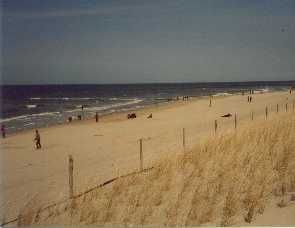 Ferienhaus Reiners in Nordholland