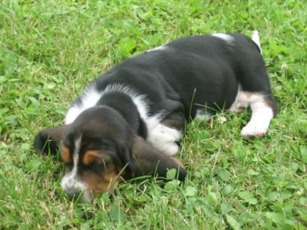 La Porta de la Calanca