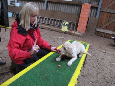 Zaubermöndli,  Basel,Schopfheim, Bad Säckingen