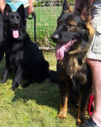 von den Pankower Wiesen