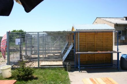 Winklers Hundepension & Hundeschule