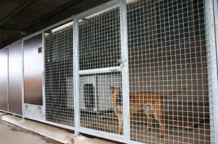 Winklers Hundepension & Hundeschule