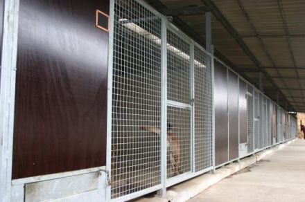 Winklers Hundepension & Hundeschule