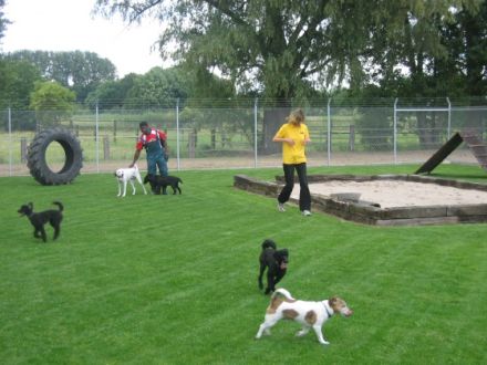 Marion`s Tierparadies