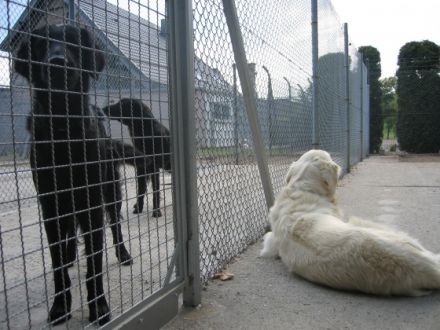 Marion`s Tierparadies