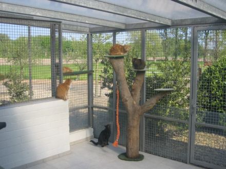 Marion`s Tierparadies