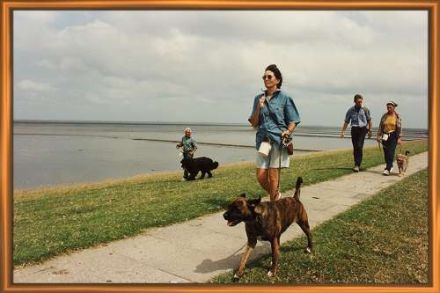 Godenhof Hunde Club-Vereins Urlaub
