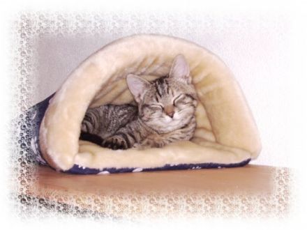 Tierpension Helmut Maier