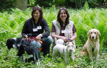 dog2me  Hundetraining