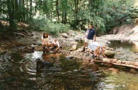 Ferienhäuser am Brocken